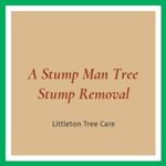 A Stump Man Tree Stump Removal Logo