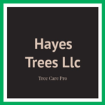 Hayes Trees Llc Logo