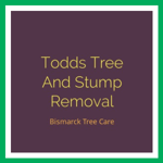 Todds Tree And Stump Removal Logo