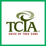 Branching Out Tree Servic Logo