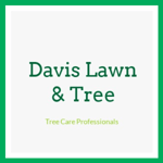 Davis Lawn &amp; Tree Logo