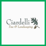 Ciardelli Tree &amp; Landscaping Logo