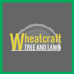 Doug Brown S Tree Service Logo