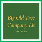 Big Old Tree Company Llc Logo