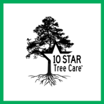 10 Star Tree Care Logo