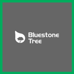Bluestone Llc Logo