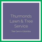Thurmonds Lawn & Tree Service Logo