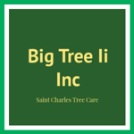 Big Tree Ii Inc Logo