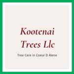 Kootenai Trees Llc Logo