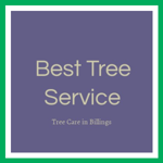 Best Tree Service Logo