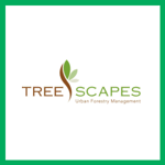 Tree Scapes Logo
