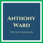 Anthony Ward Logo