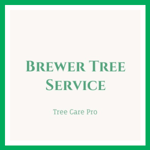 Brewer Tree Service Logo