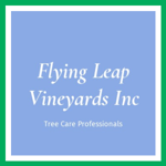 Flying Leap Vineyards Inc Logo