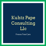Kuhtz Pape Consulting Llc Logo