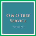 Lot Clearing - Mark's Tree Care Rockford IL