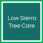 Low Sierra Tree Care Logo