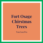 Fort Osage Chirstmas Trees Logo