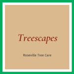 Treescapes Logo