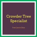 Crowder Tree Specialist Logo