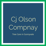 Cj Olson Compnay Logo