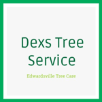 Dexs Tree Service Logo