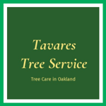 Tavares Tree Service Logo