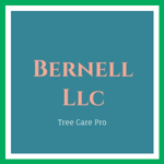 Bernell Llc Logo