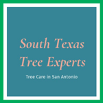 South Texas Tree Experts Logo