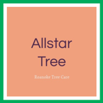 Allstar Tree Logo
