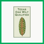 Arborcare And Consulting Logo