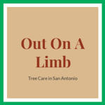Out On A Limb Logo