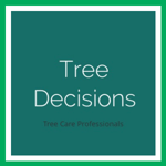 Tree Decisions Logo