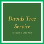 Davids Tree Service Logo