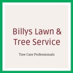 Billys Lawn &amp; Tree Service Logo