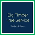 Big Timber Tree Service Logo