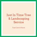Just In Time Tree &amp; Landscaping Service Logo