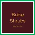 Boise Shrubs Logo