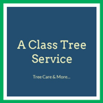 A Class Tree Service Logo