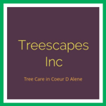 Treescapes Inc Logo