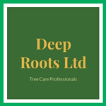 Deep Roots Ltd Logo