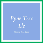 Pyne Tree Llc Logo