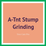 A-Tnt Stump Grinding Logo