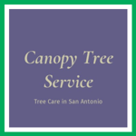 Canopy Tree Service Logo