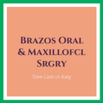 Brazos Oral &amp; Maxillofcl Srgry Logo