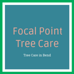 Focal Point Tree Care Logo