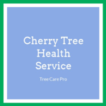 Cherry Tree Health Service Logo