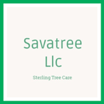 Savatree Llc Logo
