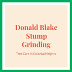 Donald Blake Stump Grinding Logo