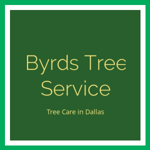 Byrds Tree Service Logo